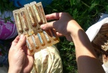Điều tra công ty dược đổ lén gần 2000 hộp thuốc 'hỏng' ra ruộng